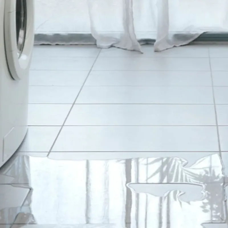Appliance Leak Cleanup in Glendale, WV