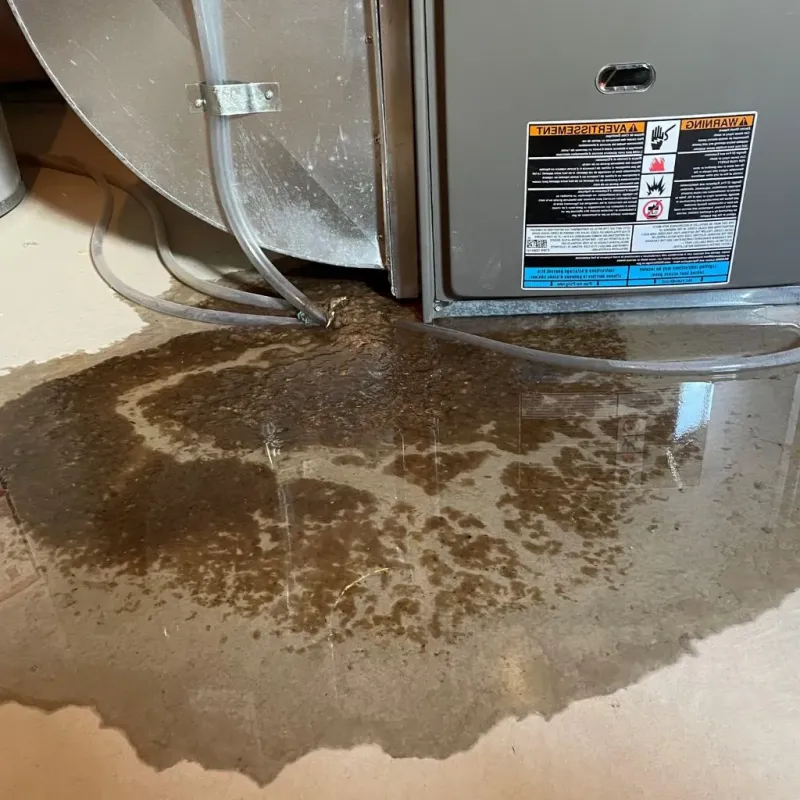 Pipe Burst and Leak Restoration in Glendale, WV