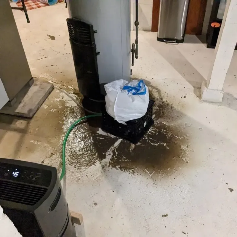 Sewage Backup Cleanup Service in Glendale, WV
